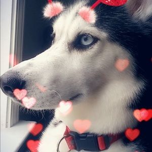 Meet your Posher, Caroline